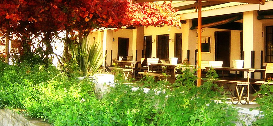 Happy Holidays From Blanco