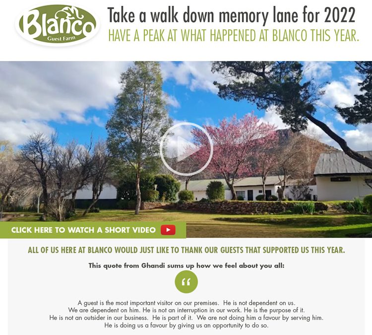 Blanco Lookback for 2022