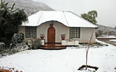 It’s a Blanco Winter!