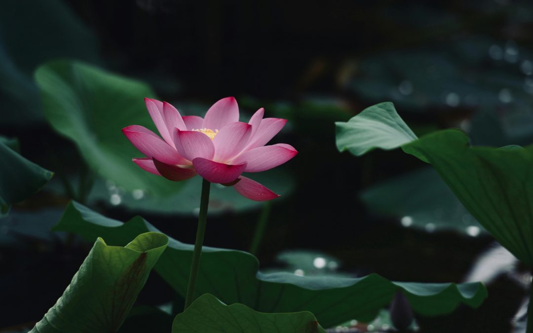 Your nervous system just sighed, didn’t it? ????