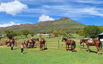 Blanco = Less Drama, More Pajamas…