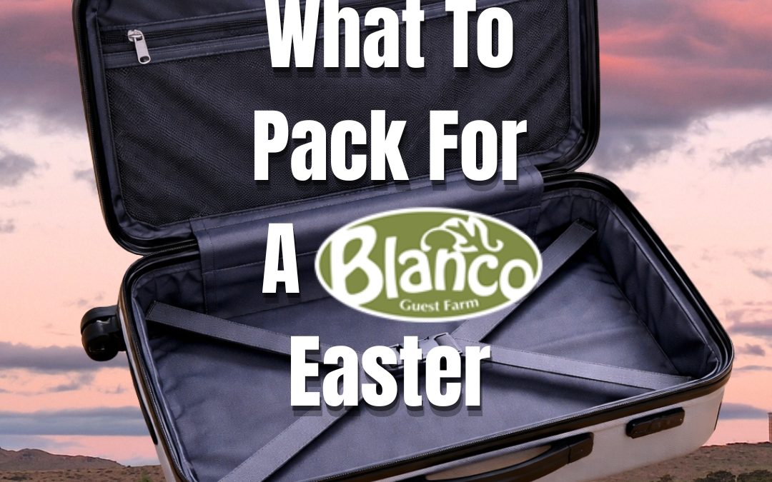 The Official Blanco Easter Family Survival Kit