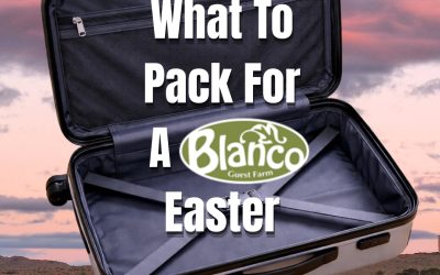 The Official Blanco Easter Family Survival Kit